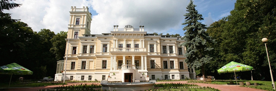 Biedrusko Palace