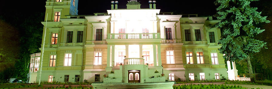 Biedrusko Palace